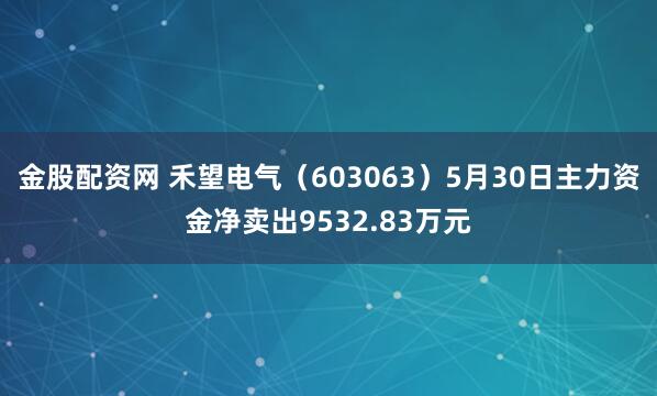 金股配资网 禾望电气（603063）5月30日主力资金净卖出9532.83万元