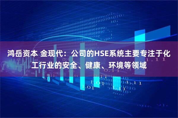 鸿岳资本 金现代：公司的HSE系统主要专注于化工行业的安全、健康、环境等领域