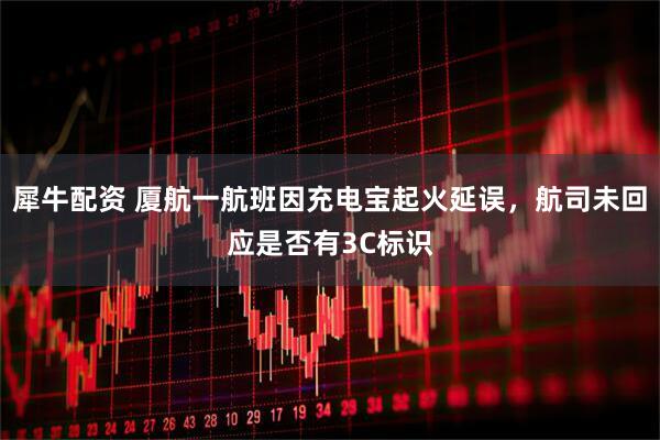 犀牛配资 厦航一航班因充电宝起火延误，航司未回应是否有3C标识