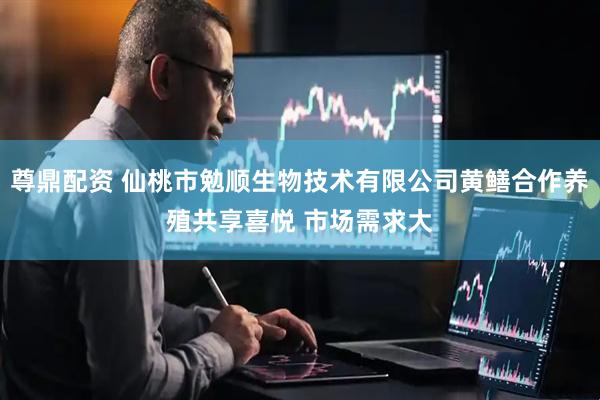 尊鼎配资 仙桃市勉顺生物技术有限公司黄鳝合作养殖共享喜悦 市场需求大